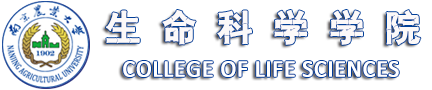 新利体育官网